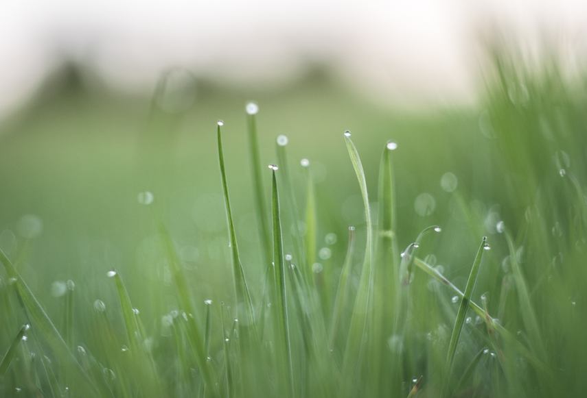 露點的定義及其在工業(yè)中的重要性!