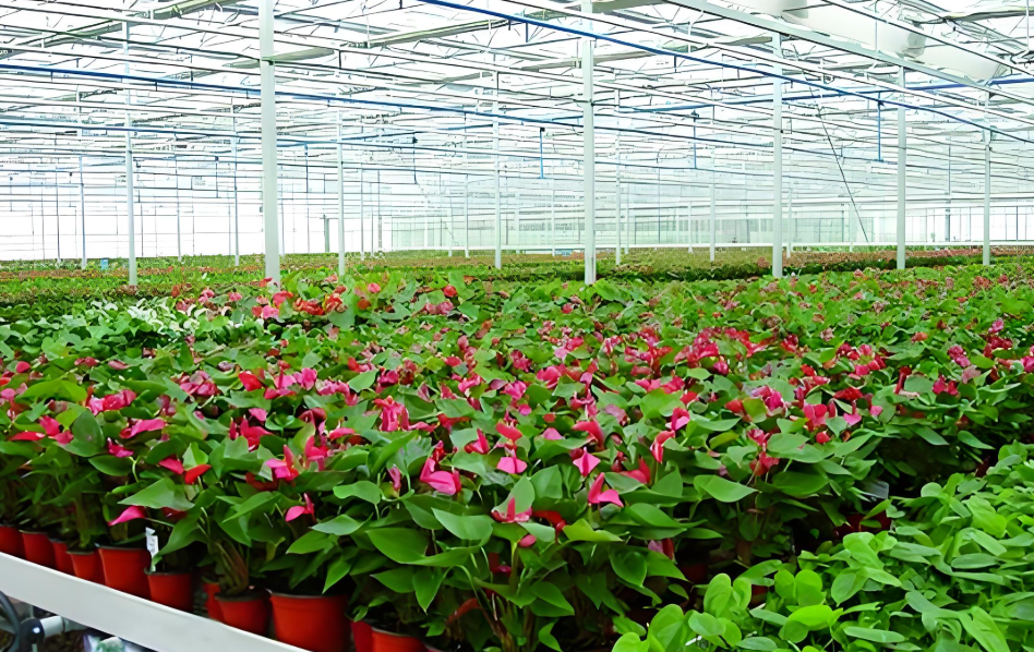 溫濕度測量儀在農業領域的多元應用場景!